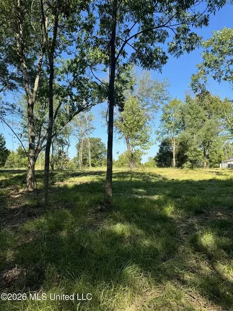 Lansbury Way, Madison, MS 39110 photo 14