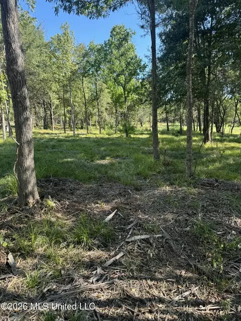 Lansbury Way, Madison, MS 39110 photo 16