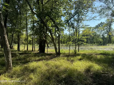 Lansbury Way, Madison, MS 39110 photo 7