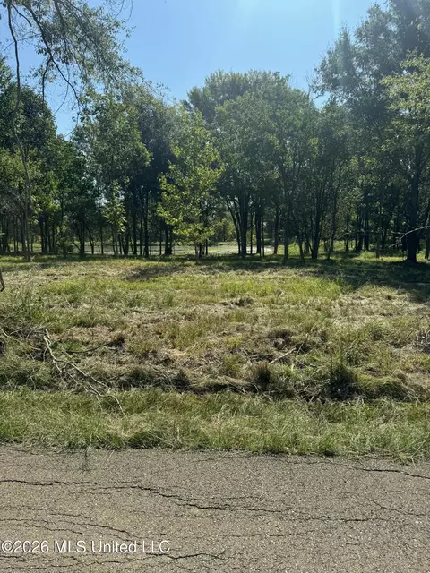 Lansbury Way, Madison, MS 39110 photo 12