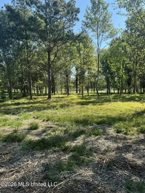 Lansbury Way, Madison, MS 39110 photo 4