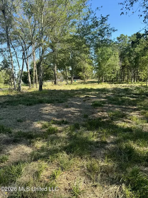 Lansbury Way, Madison, MS 39110 photo 17