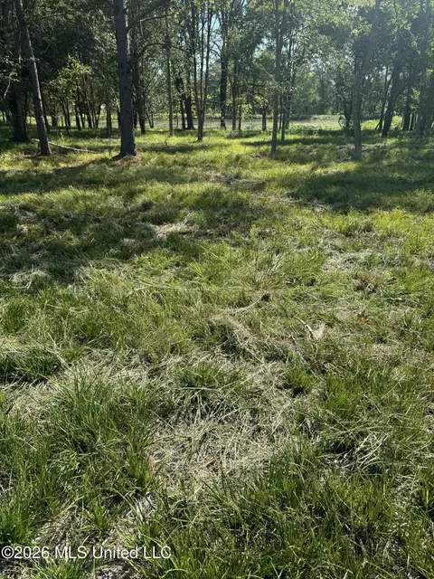 Lansbury Way, Madison, MS 39110 photo 5
