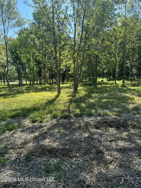 Lansbury Way, Madison, MS 39110 photo 11