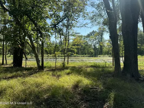 Lansbury Way, Madison, MS 39110 photo 6