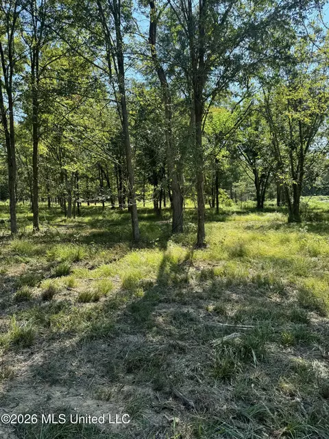 Lansbury Way, Madison, MS 39110 photo 8