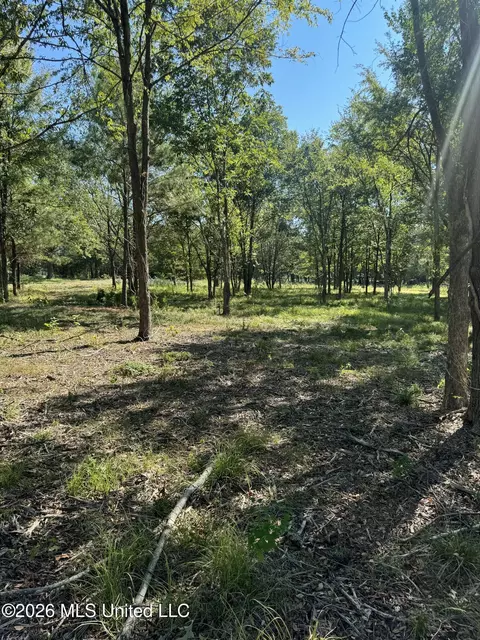 Lansbury Way, Madison, MS 39110 photo 9