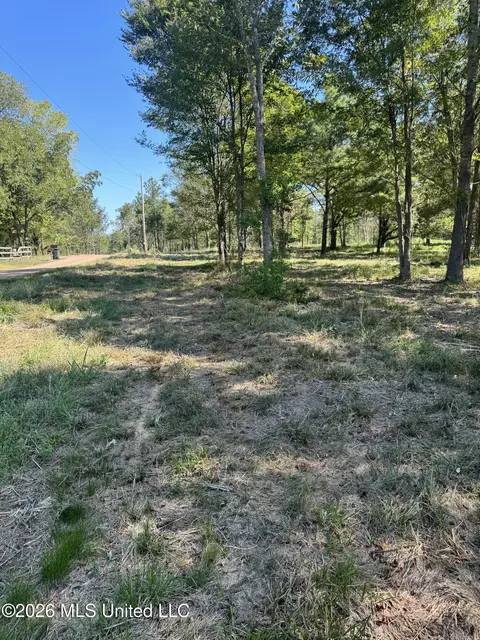 Lansbury Way, Madison, MS 39110 photo 4