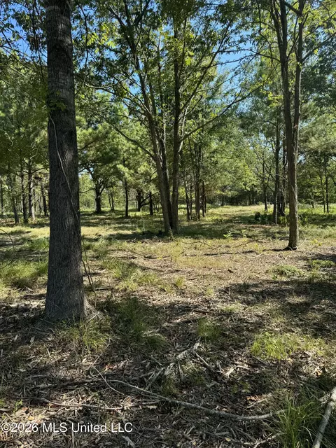 Lansbury Way, Madison, MS 39110 photo 10