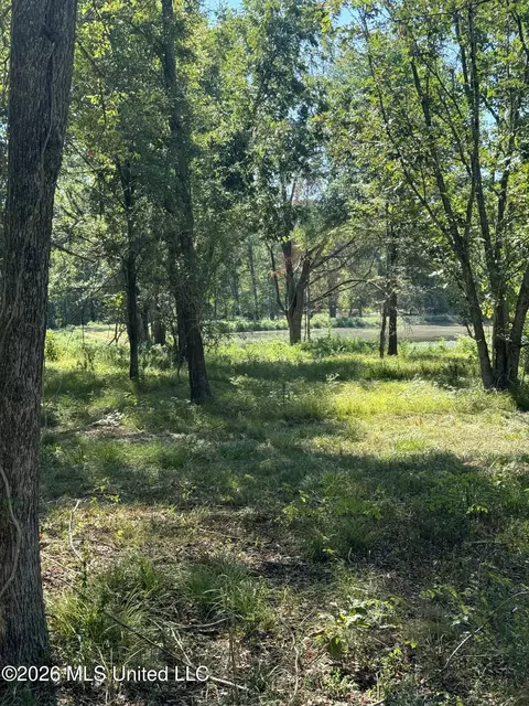 Lansbury Way, Madison, MS 39110 photo 7