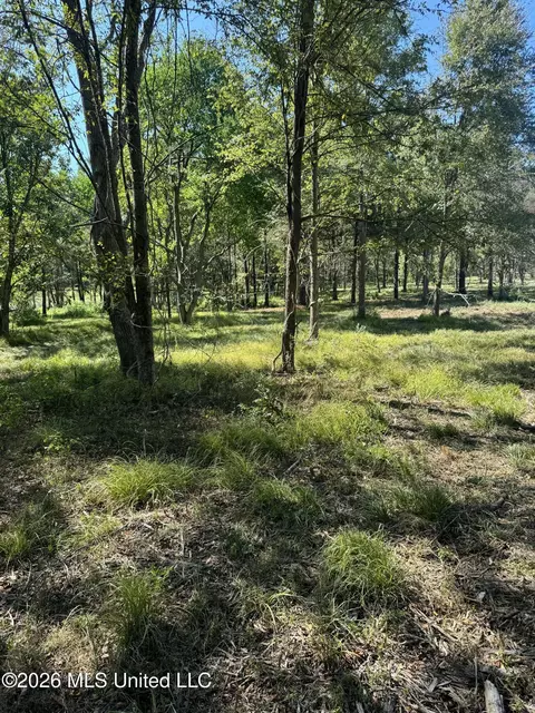 Lansbury Way, Madison, MS 39110 photo 12