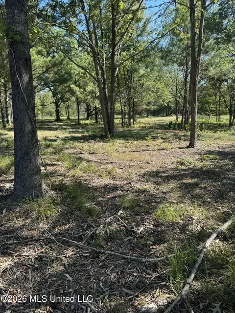 Lansbury Way, Madison, MS 39110 photo 11