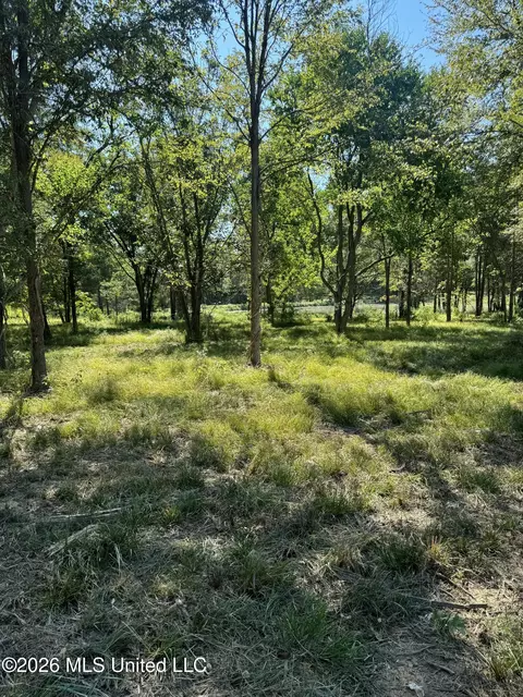 Lansbury Way, Madison, MS 39110 photo 5