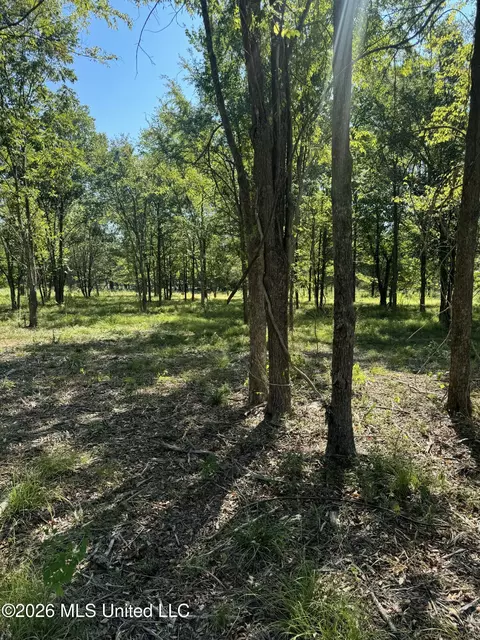 Lansbury Way, Madison, MS 39110 photo 6