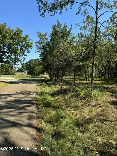 Lansbury Way, Madison, MS 39110 photo 13