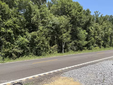 U.s. Highway 51, Canton, MS 39046 photo 3