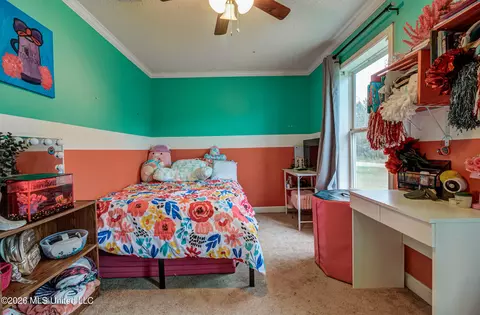 Bedroom - 19116 Crestwick St, Saucier, MS 39574 photo 2 of 11