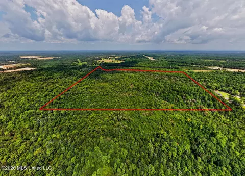 Jericho Road, Vancleave, MS 39565 photo 17