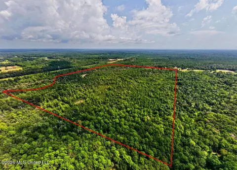Jericho Road, Vancleave, MS 39565 photo 14