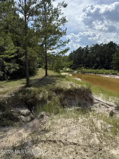 Jericho Road, Vancleave, MS 39565 photo 15