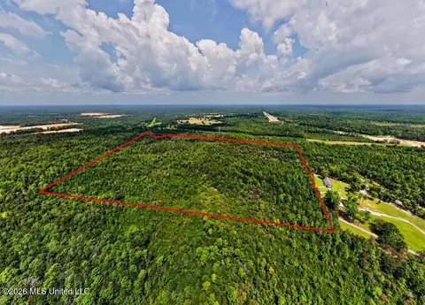 Jericho Road, Vancleave, MS 39565 photo 18