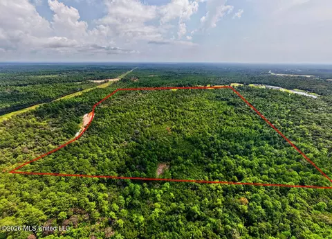 Jericho Road, Vancleave, MS 39565 photo 13