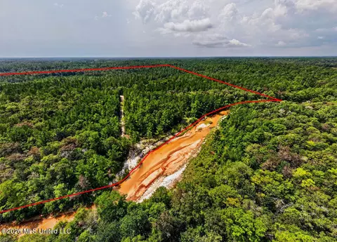 Jericho Road, Vancleave, MS 39565 photo 3