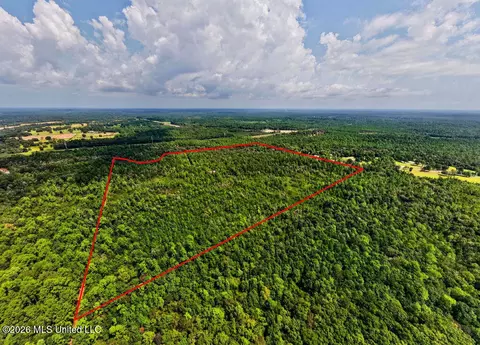 Jericho Road, Vancleave, MS 39565 photo 16