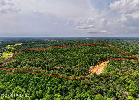 Jericho Road, Vancleave, MS 39565 photo 8