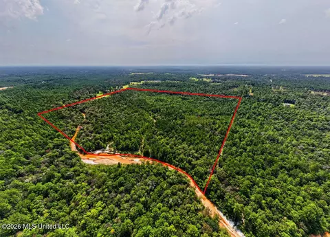 Jericho Road, Vancleave, MS 39565 photo 10