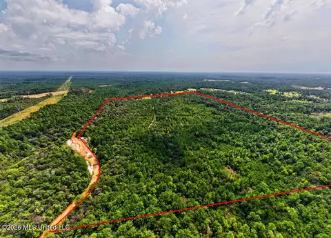 Jericho Road, Vancleave, MS 39565 photo 12