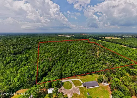Jericho Road, Vancleave, MS 39565 photo 20