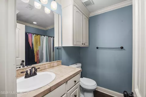 Bath - 376 Austin Cir, Brandon, MS 39047 photo 1 of 1