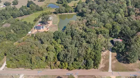 115 Cherrydale Dr, Coldwater, MS 38618 photo 2