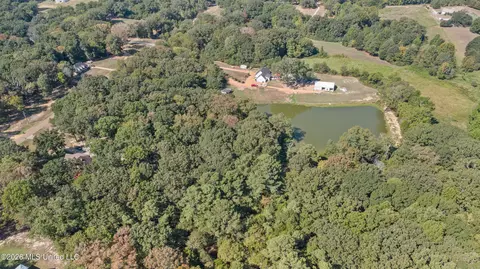 115 Cherrydale Dr, Coldwater, MS 38618 photo 10
