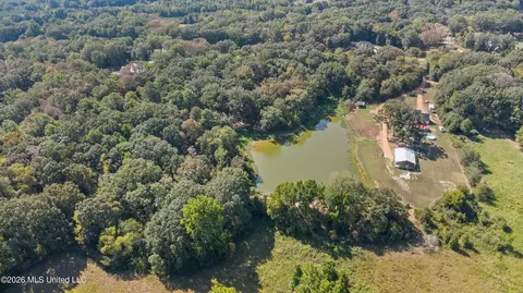 115 Cherrydale Dr, Coldwater, MS 38618 photo 8