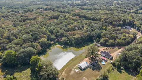 115 Cherrydale Dr, Coldwater, MS 38618 photo 7