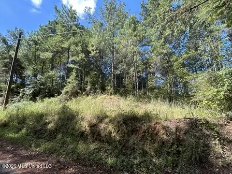 Irene Road, Summit, MS 39666 photo 8
