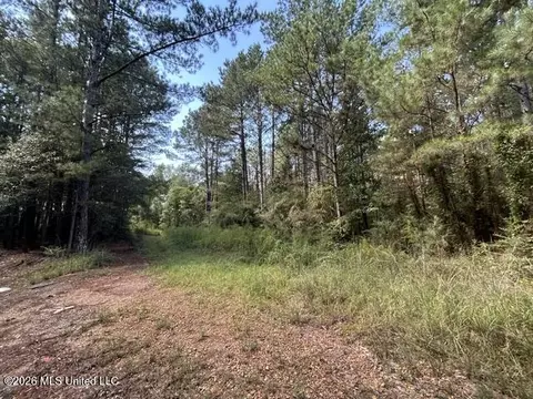 Irene Road, Summit, MS 39666 photo 2