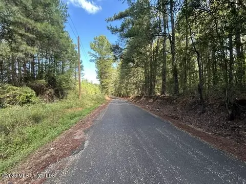 Irene Road, Summit, MS 39666 photo 3
