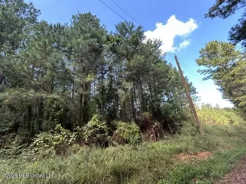 Irene Road, Summit, MS 39666 photo 5