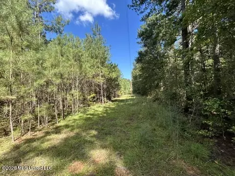 Irene Road, Summit, MS 39666 photo 3