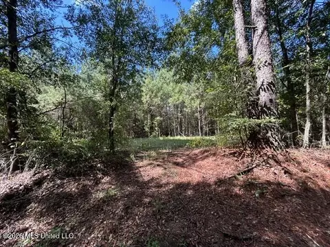 Irene Road, Summit, MS 39666 photo 5