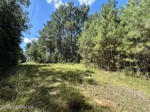 Irene Road, Summit, MS 39666 photo 2
