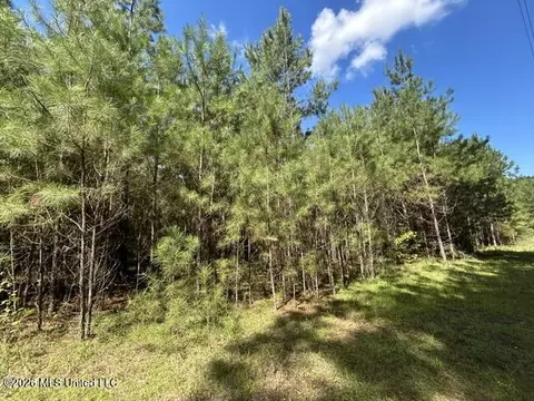 Irene Road, Summit, MS 39666 photo 4