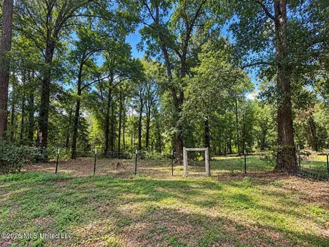 Other - 138 Shepard Cir, Lucedale, MS 39452 photo 8 of 9
