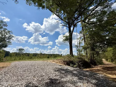 Cooper Road, Camden, MS 39045 photo 4