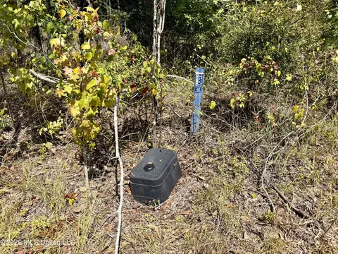 Cooper Road, Camden, MS 39045 photo 8