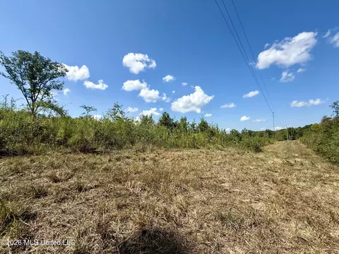 Cooper Road, Camden, MS 39045 photo 7