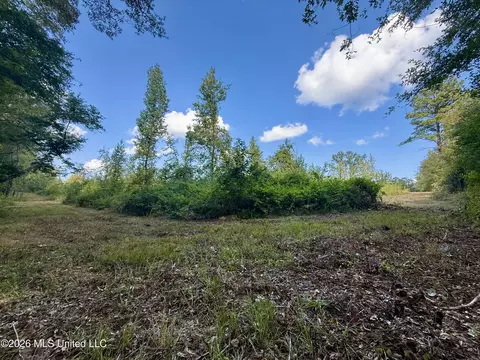 Cooper Road, Camden, MS 39045 photo 2